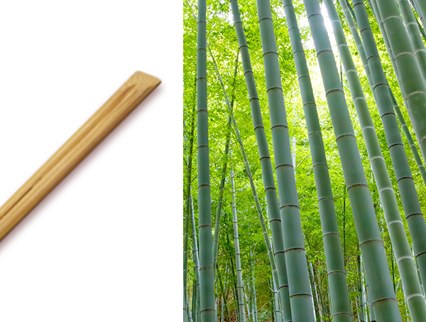 竹(炭化)