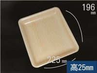 食品トレー CN20-23EE 木曽内　(中央化学)
